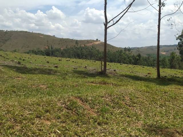 #3 - Fazenda para Venda em São Tiago - MG