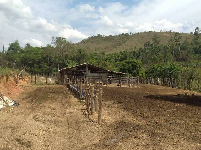 Fazenda para Venda em São Tiago - 4