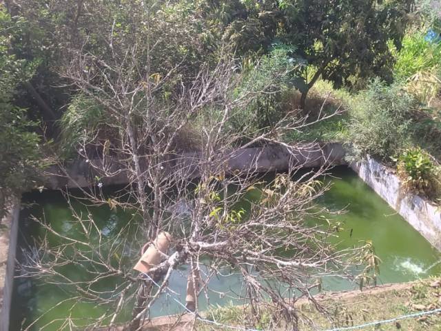 #9 - Chácara para Venda em Belo Horizonte - MG