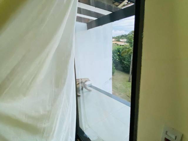 Casa para Locação em Igarapé - 4