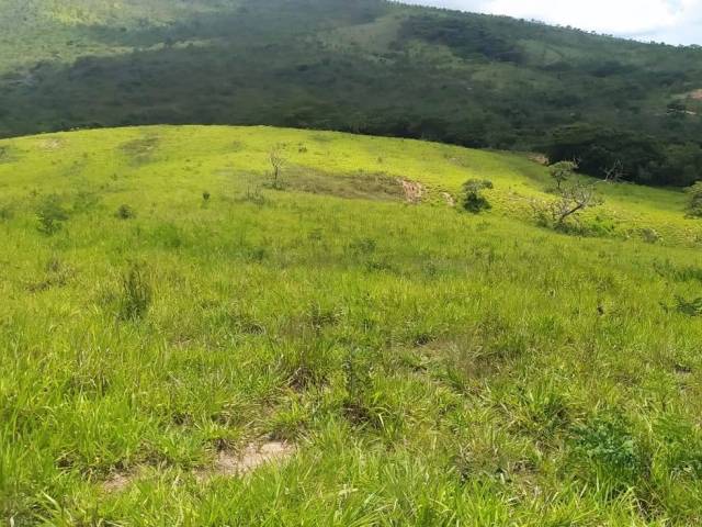 #19 - Chácara para Venda em Belo Horizonte - MG - 2