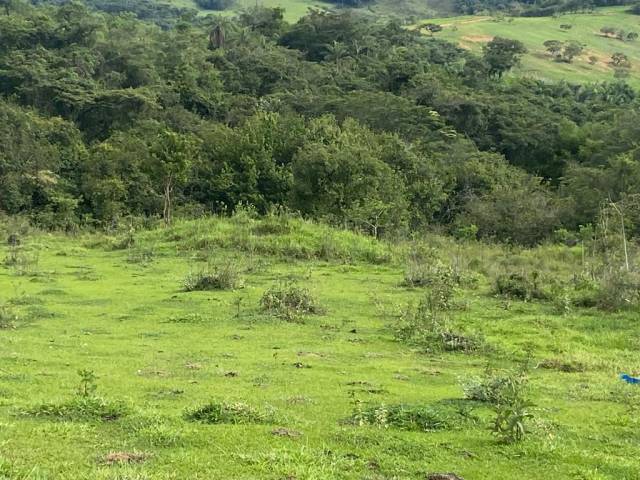 #20 - Chácara para Venda em Ritápolis - MG - 2