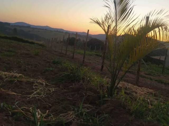 #21 - Área para Venda em Mateus Leme - MG - 3