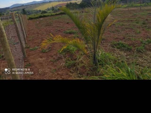 #21 - Área para Venda em Mateus Leme - MG - 2