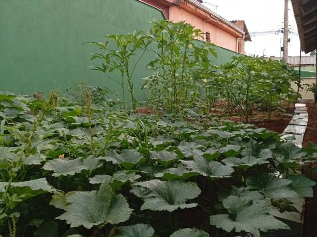 #25 - Casa para Venda em Igarapé - MG - 2
