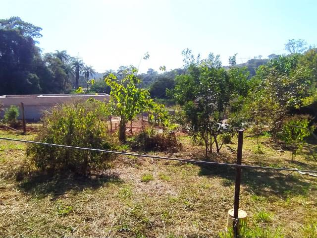 #31 - Chácara para Venda em Belo Horizonte - MG - 3