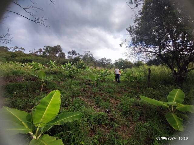 #37 - Área para Venda em Piracema - MG - 2