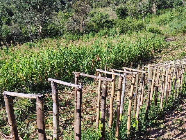 #37 - Área para Venda em Piracema - MG - 3