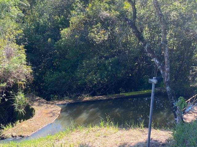 #33 - Chácara para Venda em Ritápolis - MG - 3